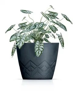 Prosperplast Kvetináč Areca zelený, variant 29,5 cm