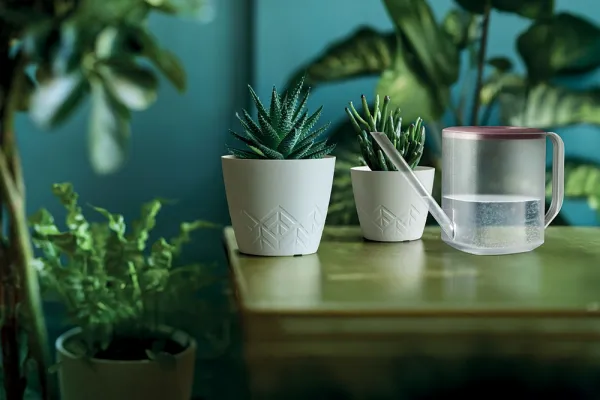 Prosperplast Kvetináč Areca zelený, variant 29,5 cm