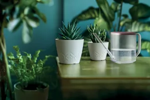 Prosperplast Kvetináč Areca zelený, variant 29,5 cm