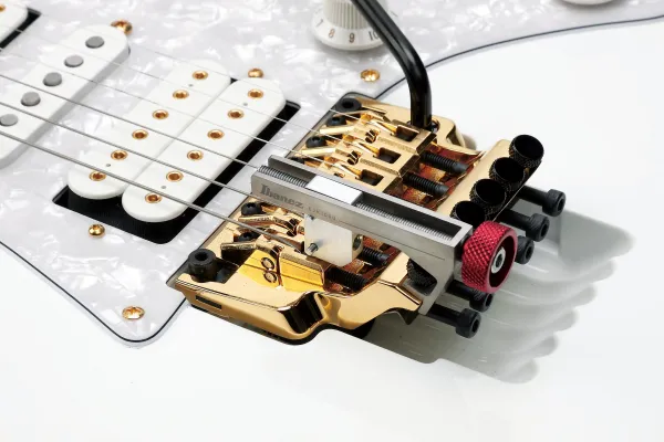 Ibanez EJK1000