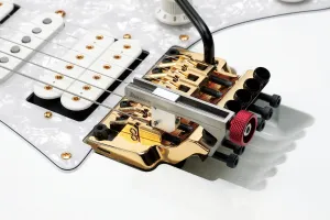 Ibanez EJK1000