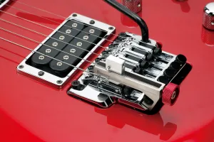 Ibanez EJK1000