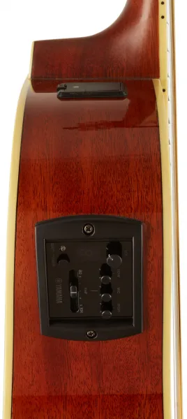 Yamaha FSX820CII NT