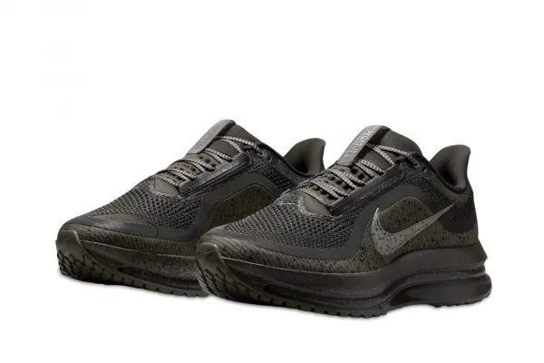 Nike Pegasus Premium SP "Light Loden" (IM6000-264)