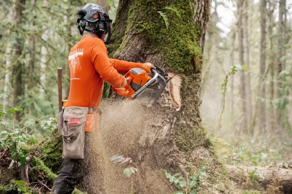 Reťazová píla HUSQVARNA 592 XP® G