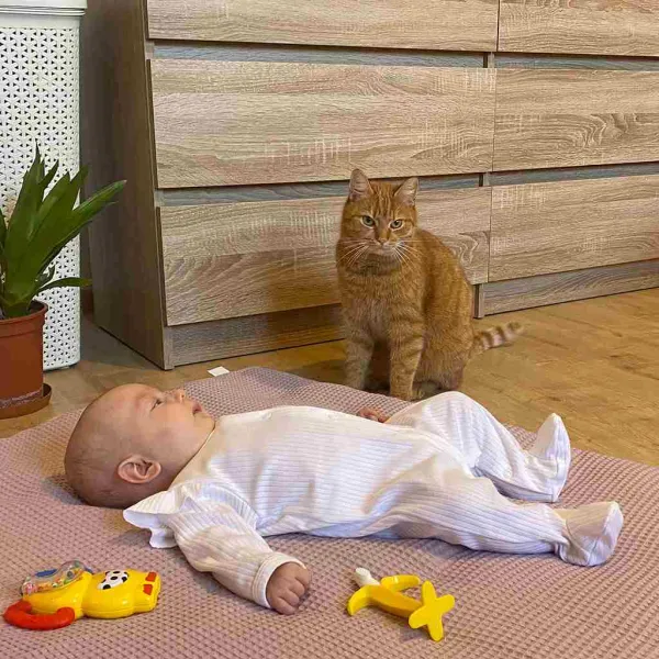 Dojčenský bavlnený overal New Baby Practical biely dievča Veľkosť: 80