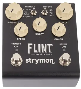 Strymon Flint V2