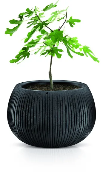 Prosperplast Obal na kvetináč s vložkou Bowl šedý, variant 14,4 cm