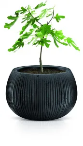 Prosperplast Obal na kvetináč s vložkou Bowl šedý, variant 14,4 cm