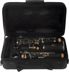 Soundsation SCL-18