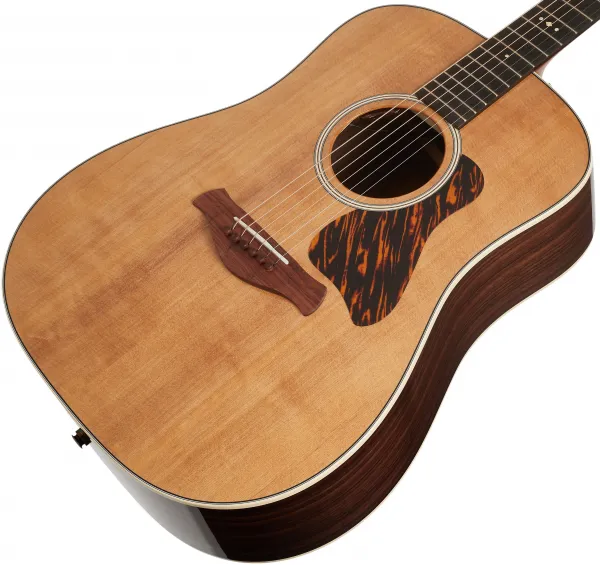 Taylor Gold Label 710e