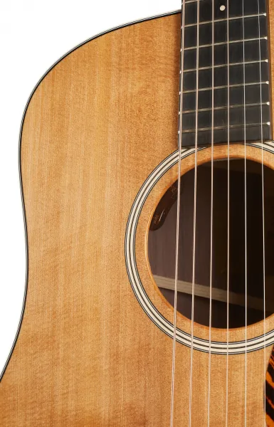 Taylor Gold Label 710e