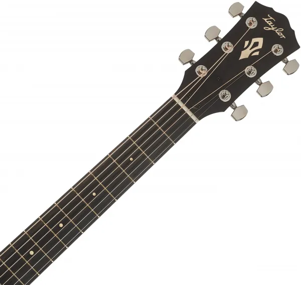 Taylor Gold Label 710e