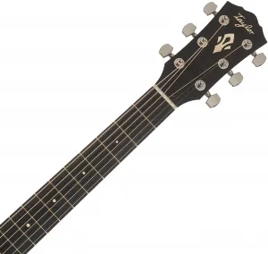 Taylor Gold Label 710e