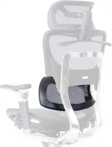 SEGO Ergonomická kancelárska stolička SESION čierna