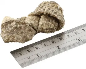 FISH4DOGS Maškrty pre psov DENTAL SEA morská ryba - uzlíky 500 g