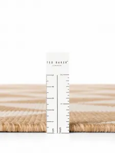 Kusový koberec Ted Baker Haringey 106379 Jute White 200x300 cm