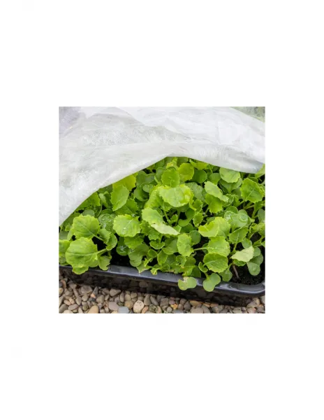 Zimná agrotextília biela 70 g 1,6x5 m