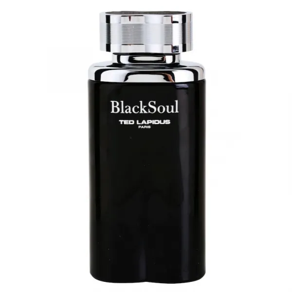 Ted Lapidus Black Soul toaletná voda pre mužov 100 ml