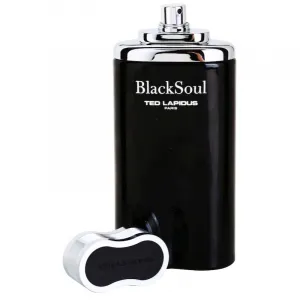 Ted Lapidus Black Soul toaletná voda pre mužov 100 ml