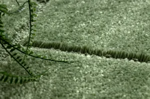 Kúpeľňový koberček SUPREME LINES línie, zelený kruh