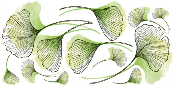 Nálepkanastenudointeriérulistykvetumonstera100x200cm100x200cm