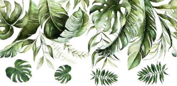 Nálepkanastenudointeriérusmotívomlistovrastlinymonstera100x200cm100x200cm