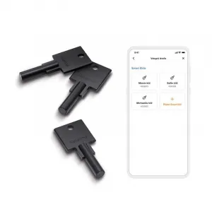 Netatmo Smart Key 3ks NETATMO-NDL-K3U-1675