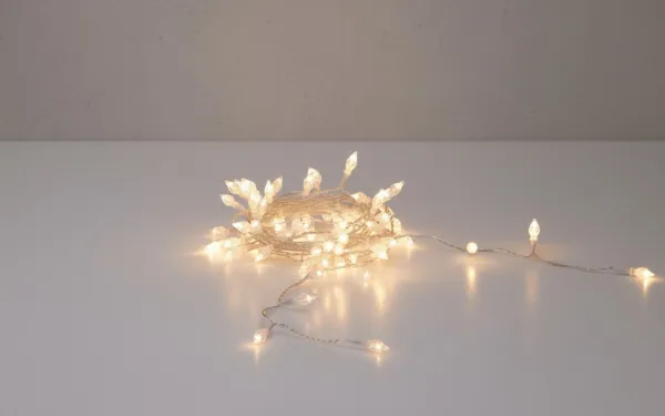 Mondex Osvetlená LED reťaz Olson teplá biela